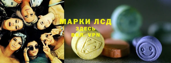 мдпв Карпинск
