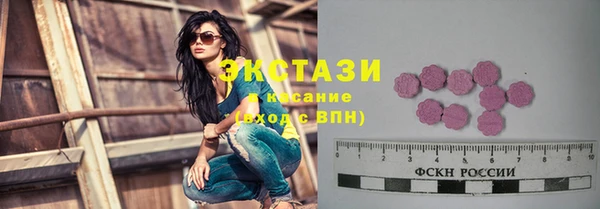 мдпв Карпинск