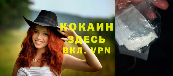 мдпв Карпинск