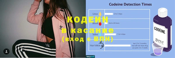 мдпв Карпинск