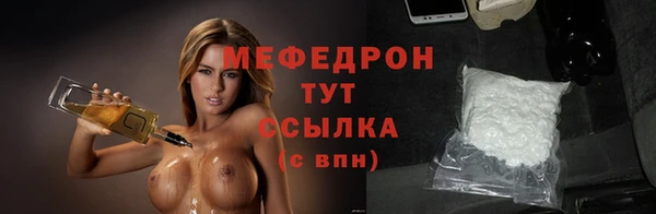 мдпв Карпинск