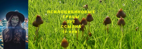 мдпв Карпинск