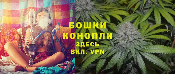 мдпв Карпинск