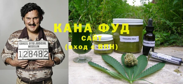 мдпв Карпинск